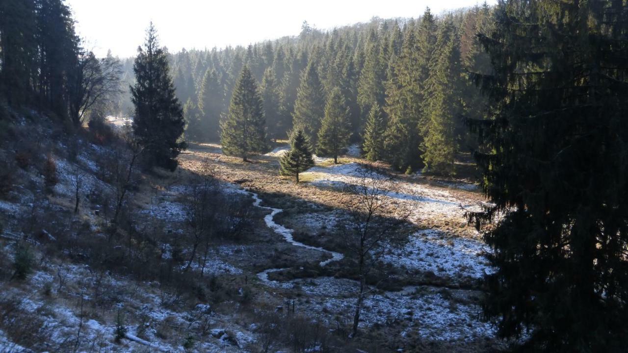 Ferienhaus Broche Hilchenbach Екстериор снимка